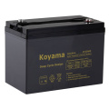 Batterie de cycle profond d&#39;aspirateur -6V220ah (DC220-6)